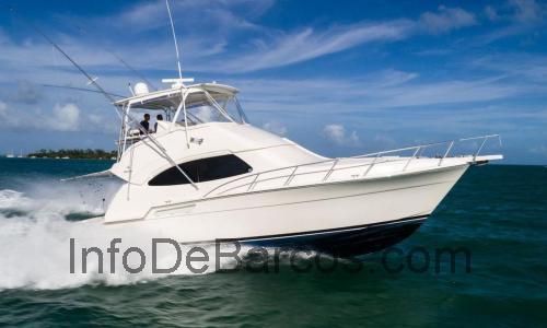 Bertram 450 Convertible ficha técnica y opiniones